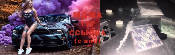 молекула духа Каменск-Шахтинский