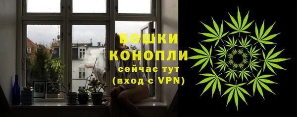 молекула духа Каменск-Шахтинский