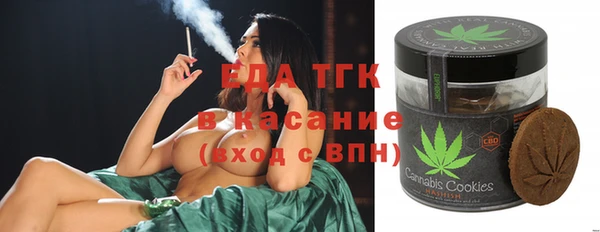 соль курить ск Каменка