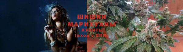 молекула духа Каменск-Шахтинский