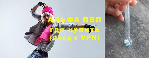 молекула духа Каменск-Шахтинский