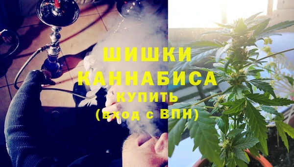 молекула духа Каменск-Шахтинский