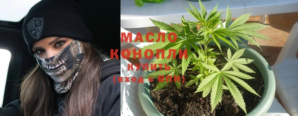 молекула духа Каменск-Шахтинский