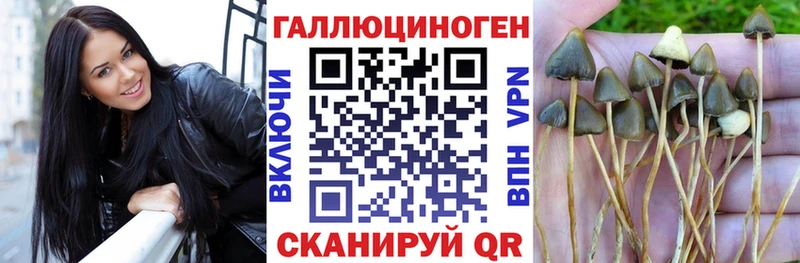 Купить закладки  Великий Устюг  Галлюциногенные грибы прущие грибы 