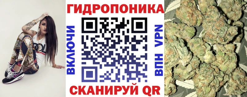 Бошки марихуана планчик  Купить где  Великий Устюг 